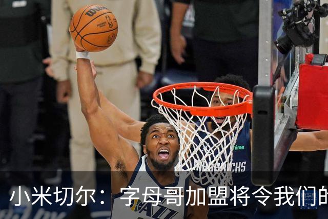 小米切尔：字母哥加盟将令我们的球队焕然一新